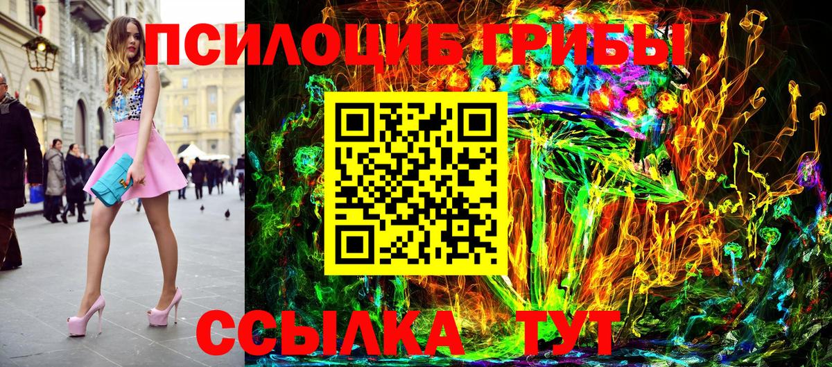 Галлюциногенные грибы Psilocybine cubensis Иваново
